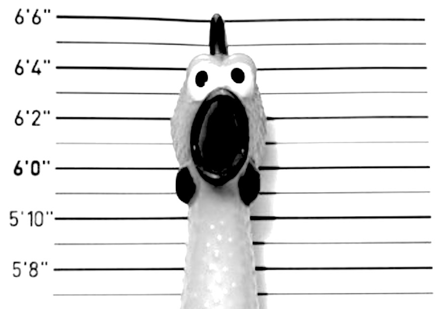 Fun chicken bad mugshot poster poster r7564764d91d543bba2eade000dd043ca 680 8byvr 540.jpg?ixlib=rails 2.1