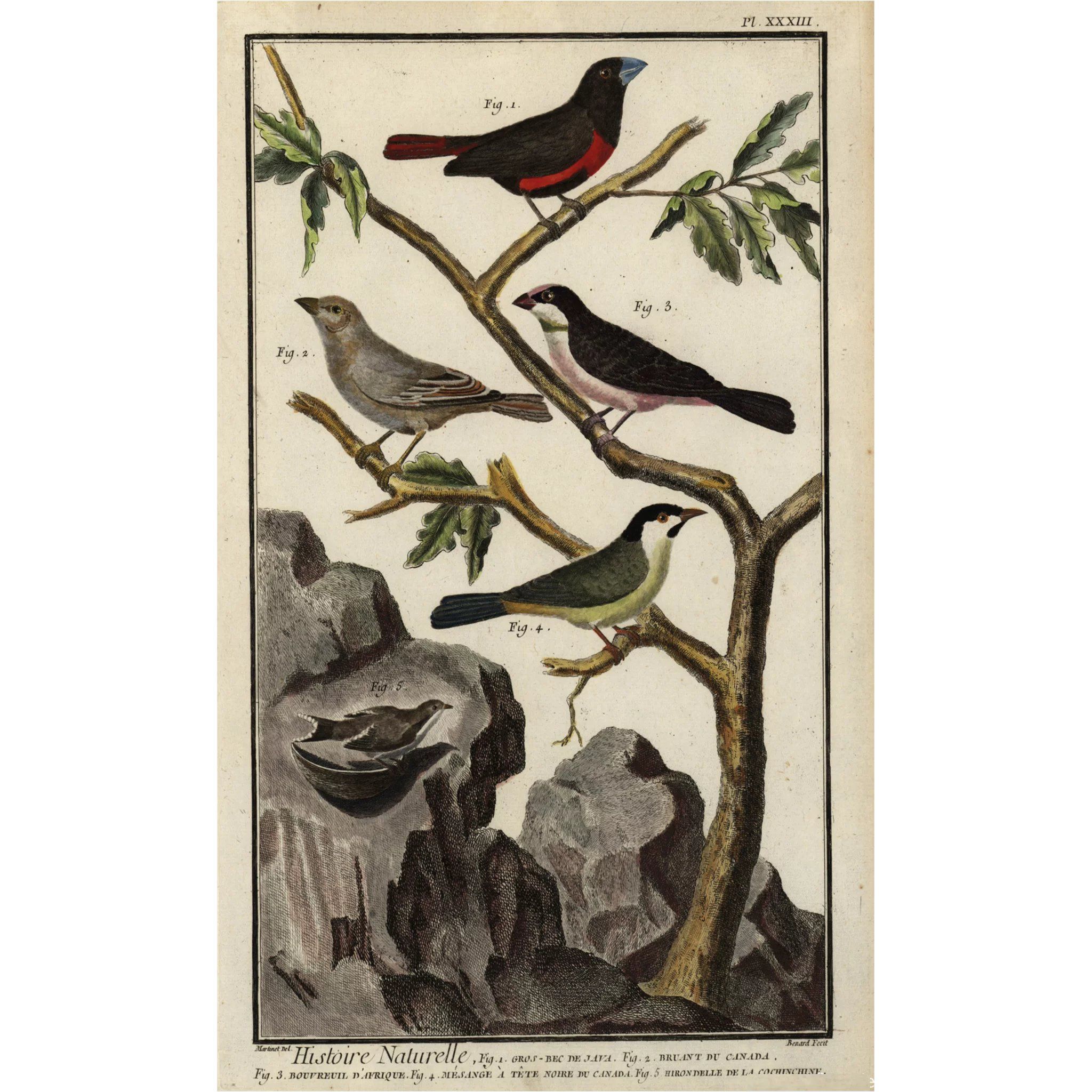 2ebd37f0a844b75be57551b9292b5094.jpg?ixlib=rails 2.1