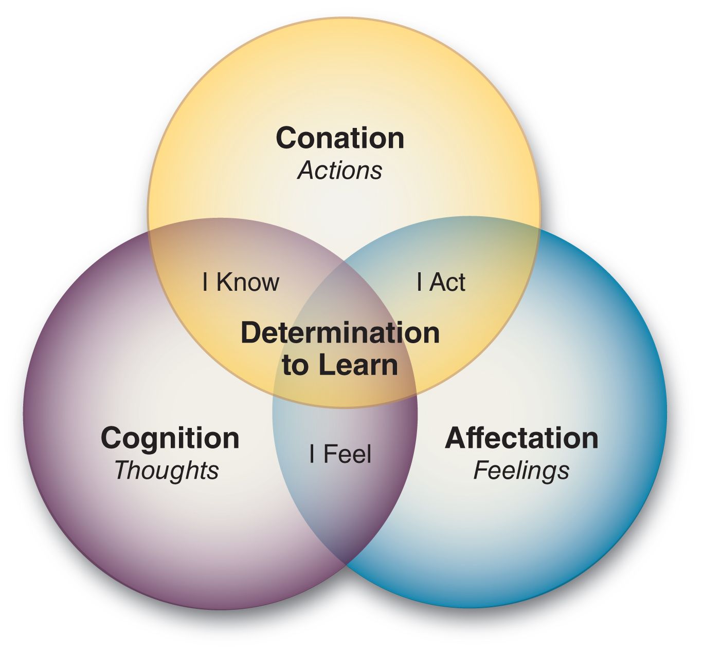 96367d662e9006bd9434fd3ef750f800.jpg?ixlib=rails 2.1