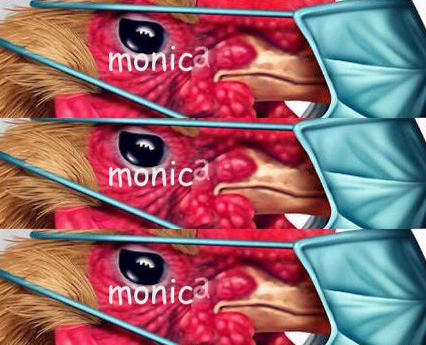 Who killed malcolm x non feb 01 3.jpg?ixlib=rails 2.1