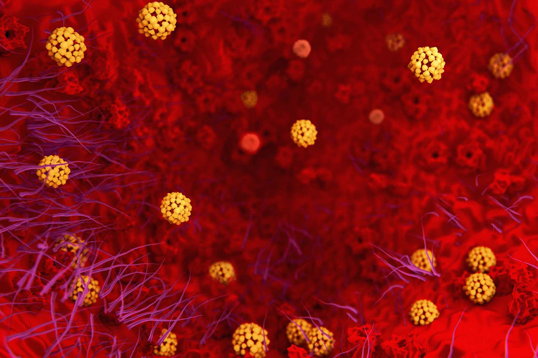 6b76e5c7 98e5 4ba5 bedc 8f25c21ab14b.jpeg?ixlib=rails 2.1