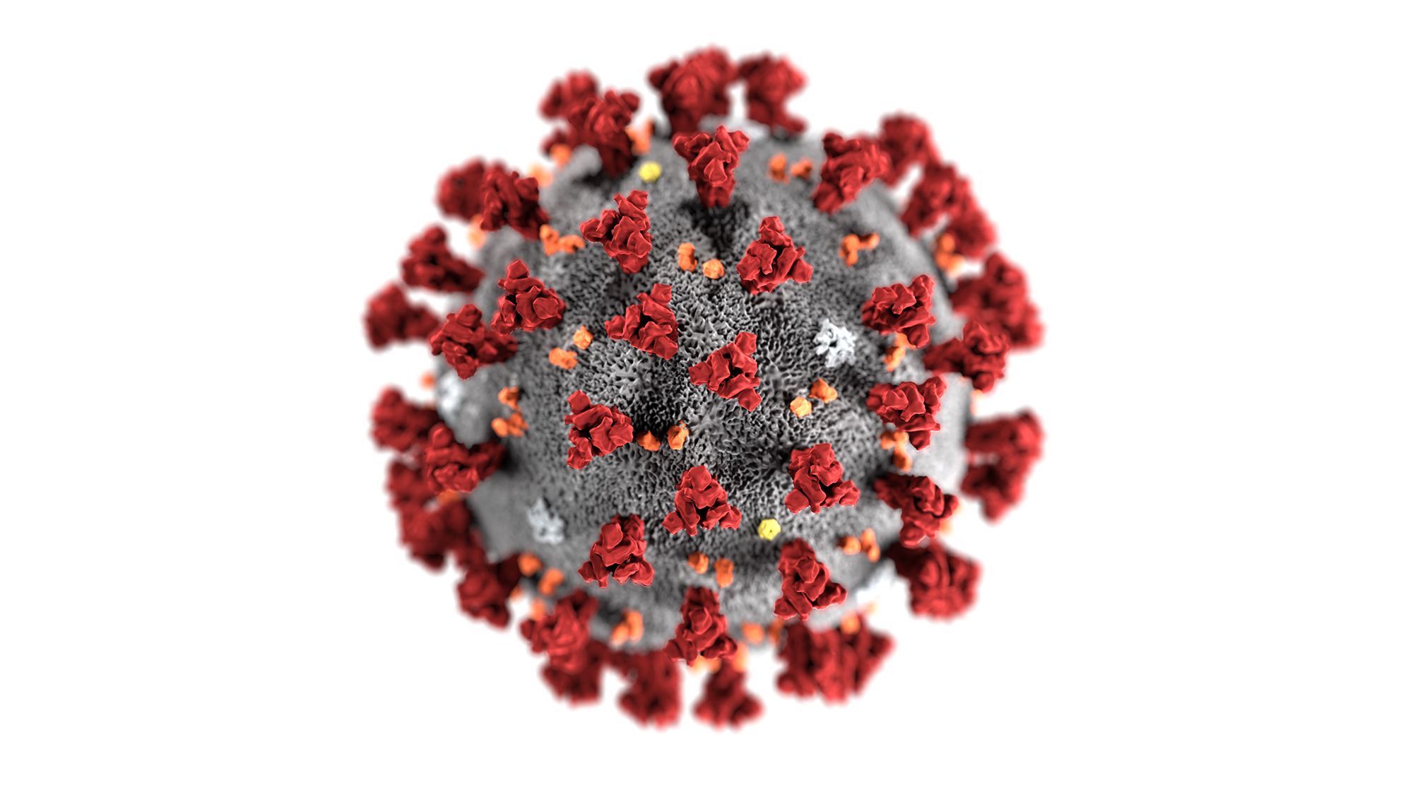 Coronavirus cdc.jpg?ixlib=rails 2.1