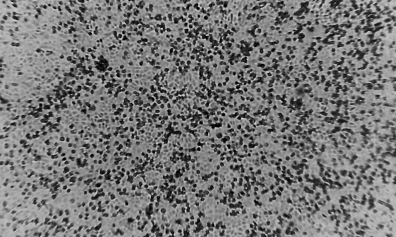 236053 5x3 topteaser1260x756.jpg?ixlib=rails 2.1