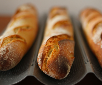 Screen shot 2020 04 13 at 10.36.15 pm.png?ixlib=rails 2.1