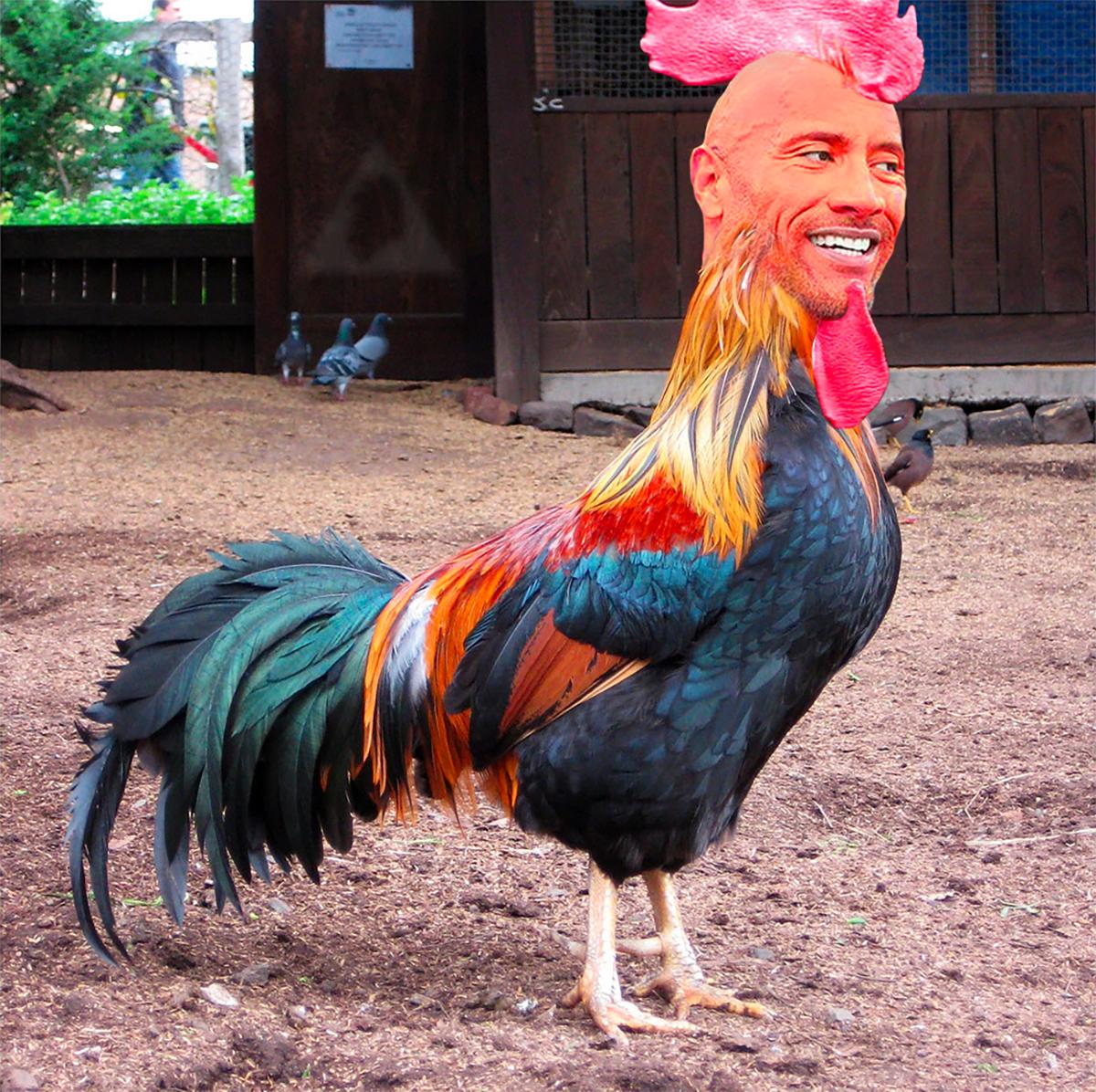 Rng8ncyr2bv01.jpg?ixlib=rails 2.1