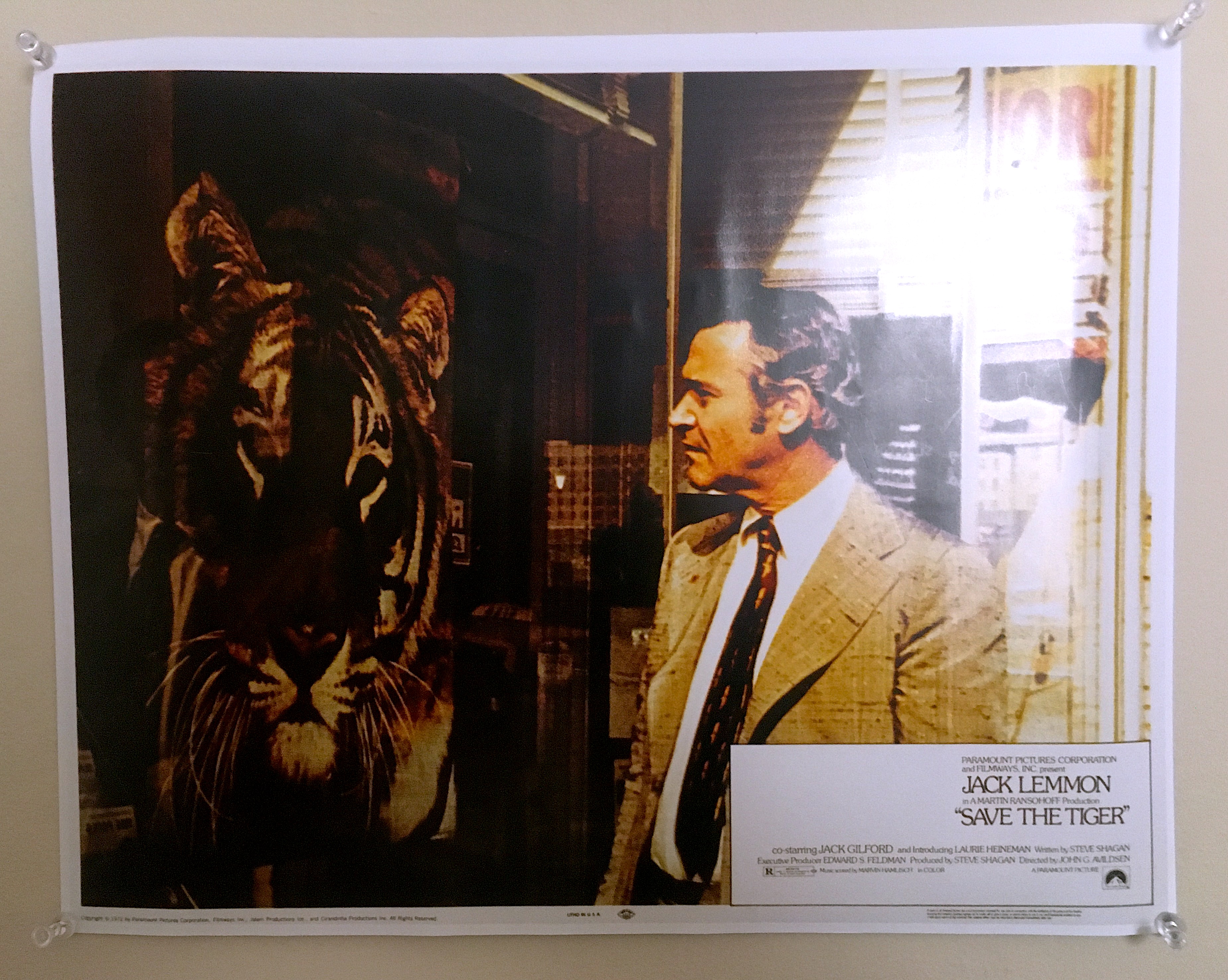 Img 9605.jpg?ixlib=rails 2.1