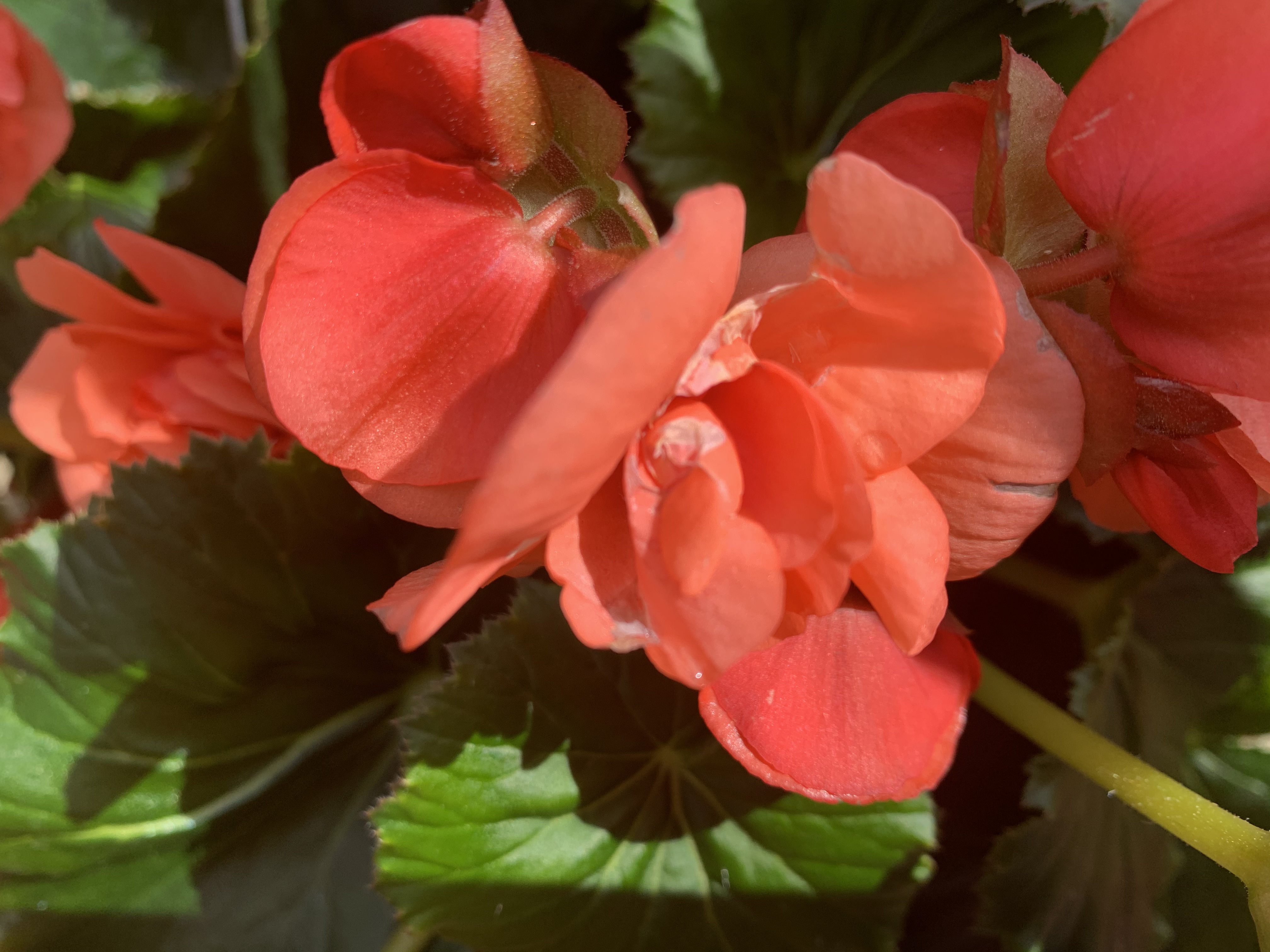 Image0.jpeg?ixlib=rails 2.1