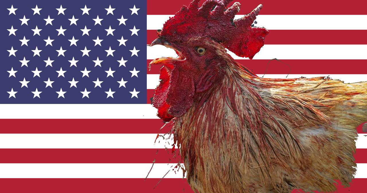 1280px flag of the united states.svg.png?ixlib=rails 2.1