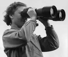 Screen shot 2020 06 08 at 9.30.03 pm.png?ixlib=rails 2.1