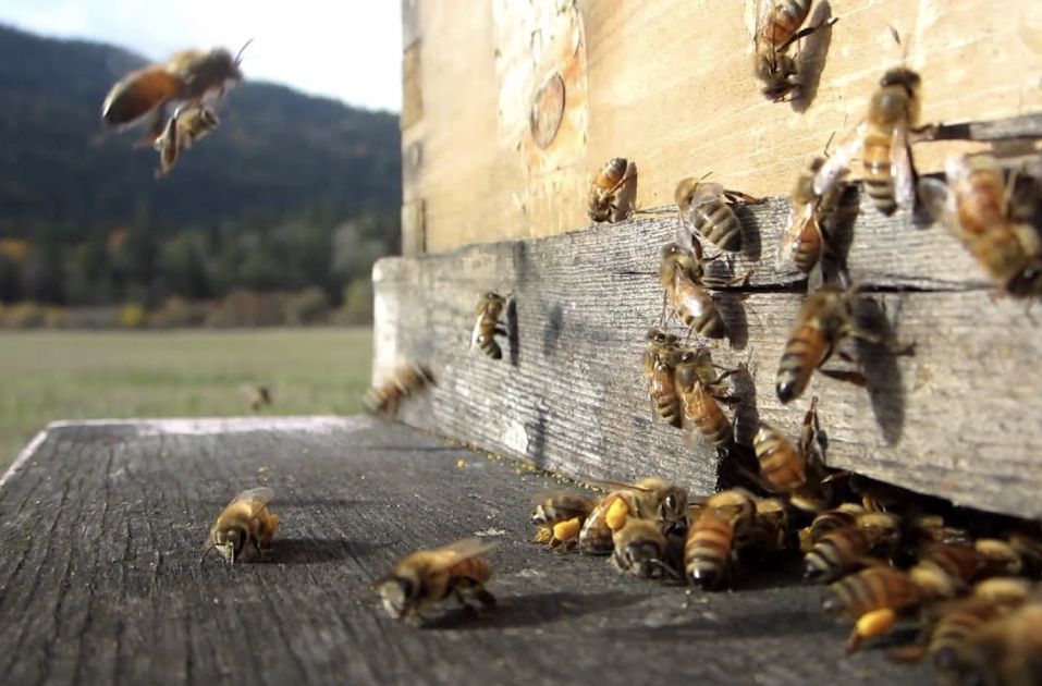 C8f0530b 5440 4eb6 ba87 b0e4b85fd865.jpeg?ixlib=rails 2.1