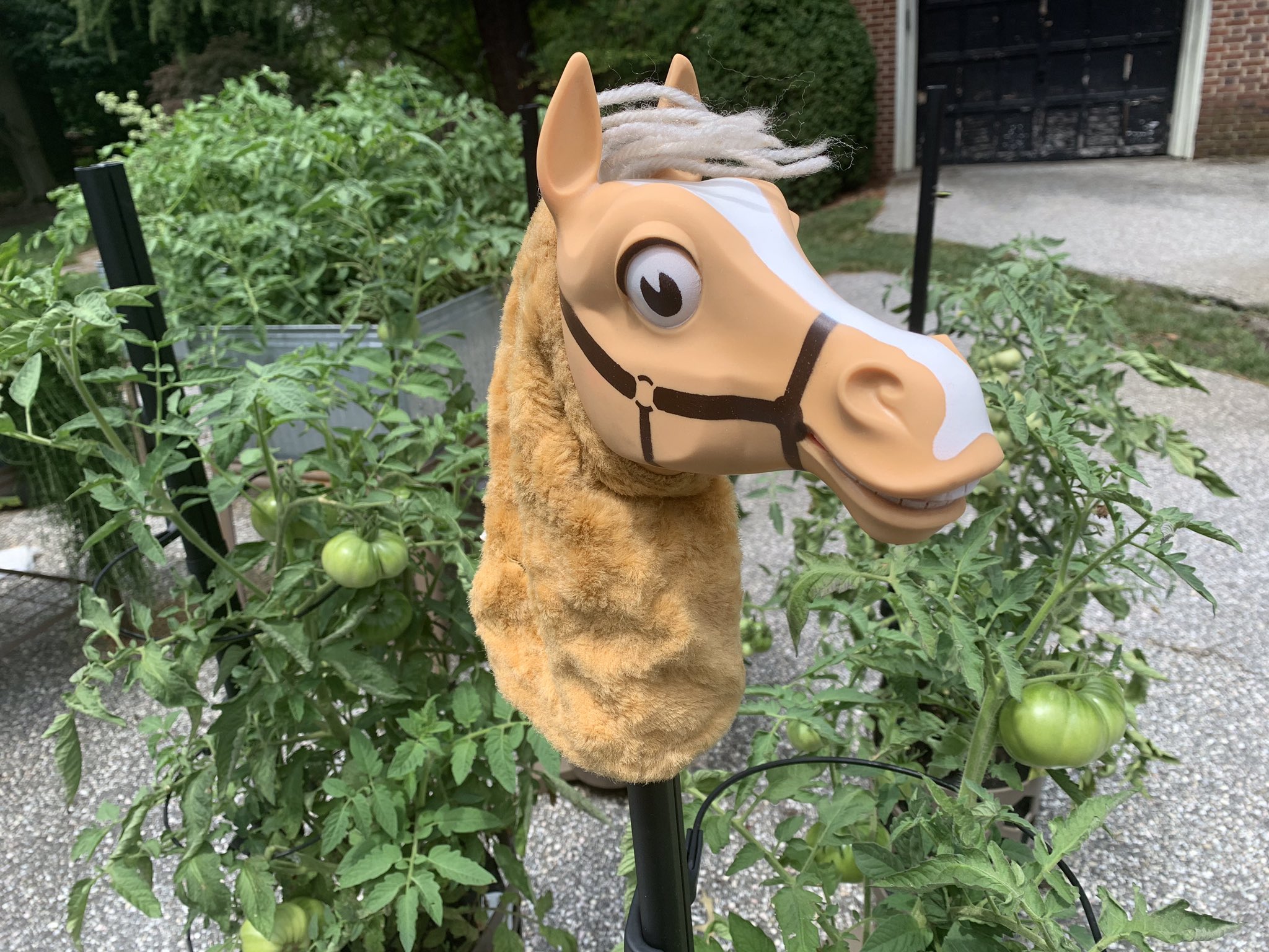 Rcdosdt3.jpg?ixlib=rails 2.1