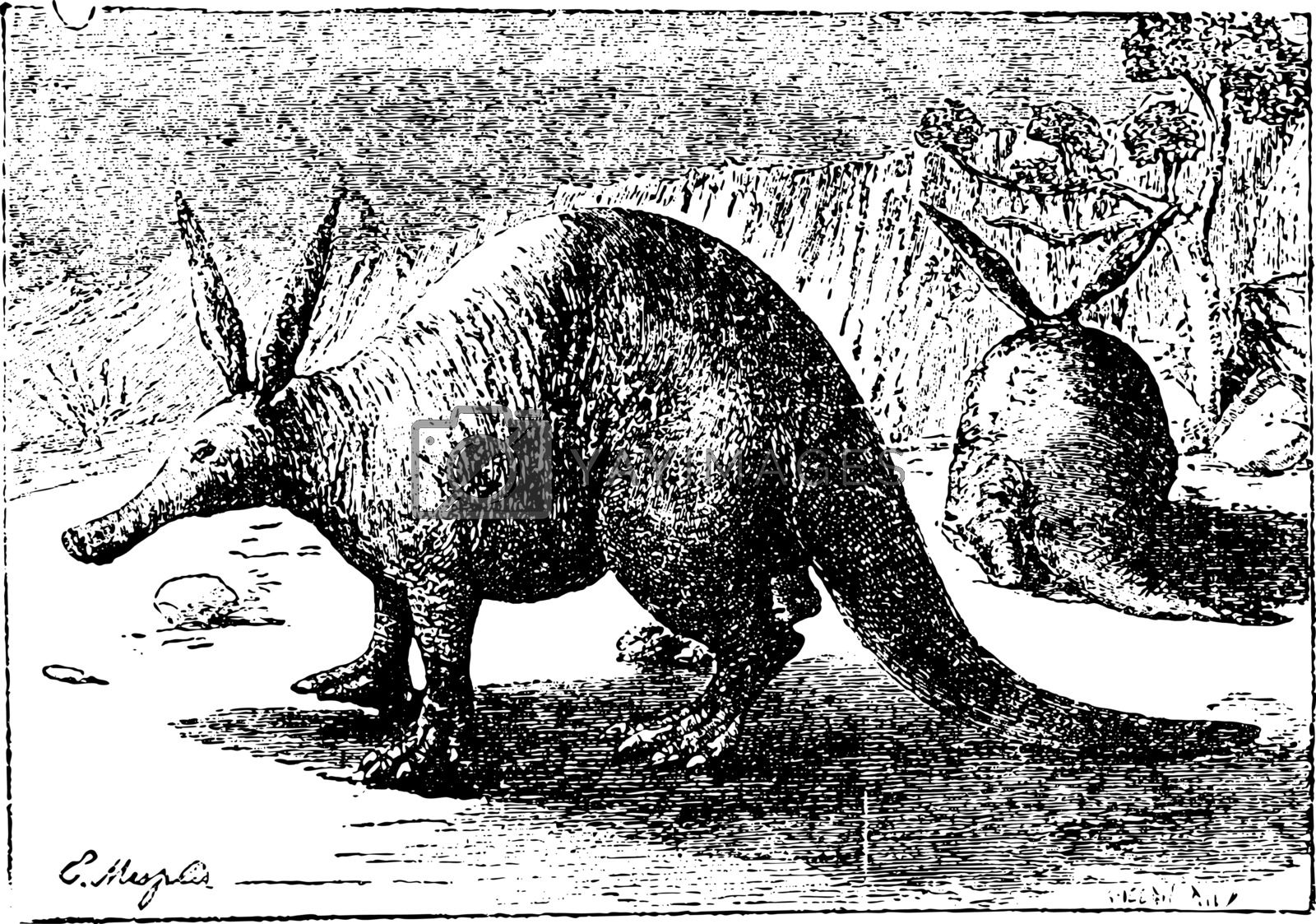 Ca8ef50.jpg?ixlib=rails 2.1