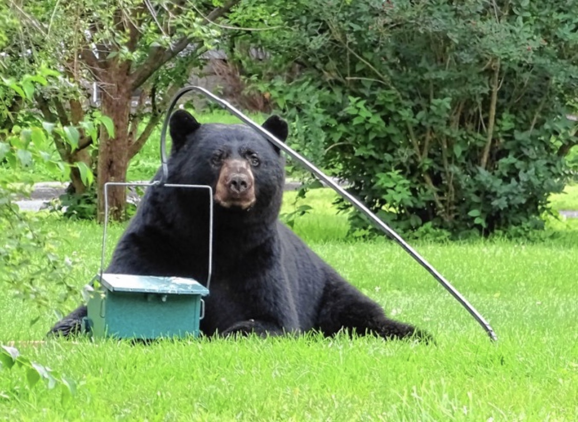 C6636823 e2c5 4a79 b1a9 93c8b50a57a5.jpeg?ixlib=rails 2.1