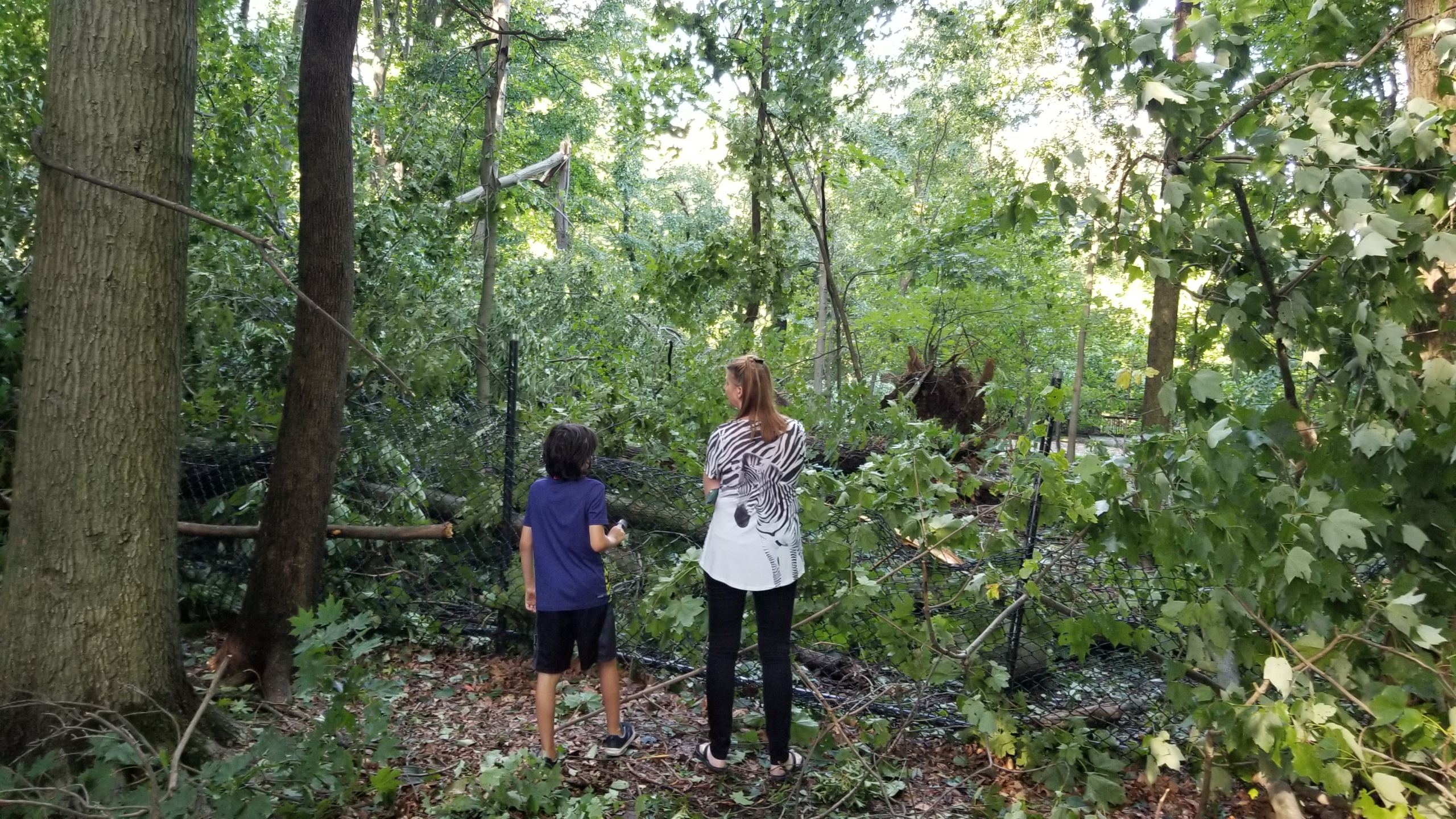 20200804 180447.jpg?ixlib=rails 2.1