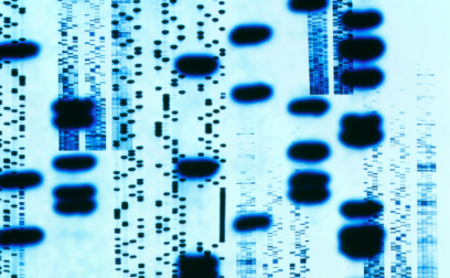 Screen shot 2020 08 06 at 2.47.31 pm.png?ixlib=rails 2.1