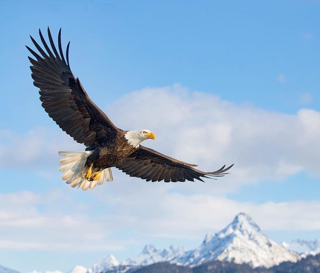 Ec635f014613db8f5060dbbee372a804.jpg?ixlib=rails 2.1