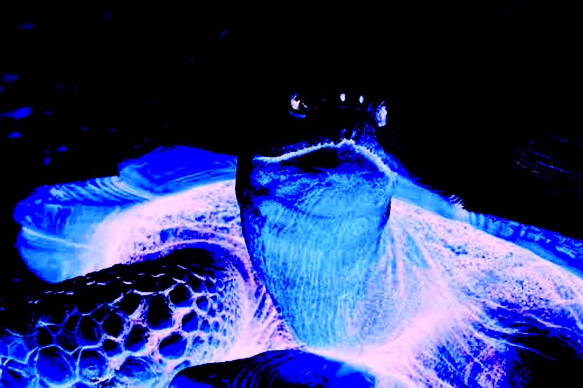 Inline image preview.jpg?ixlib=rails 2.1