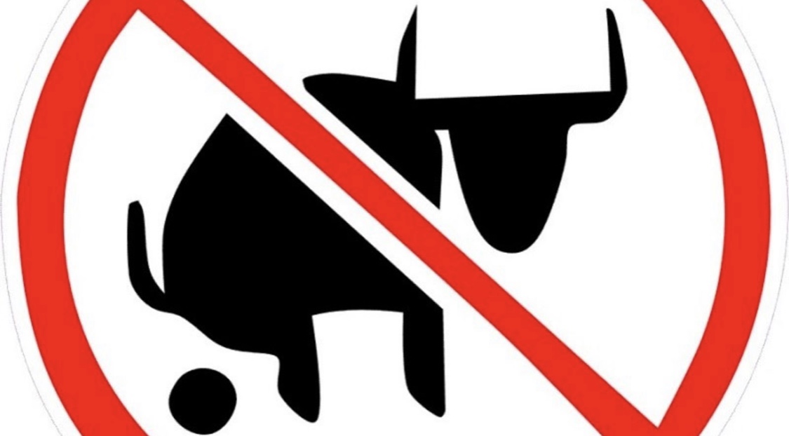 15933309 55bd 414d aaab cda3d5563975.jpeg?ixlib=rails 2.1