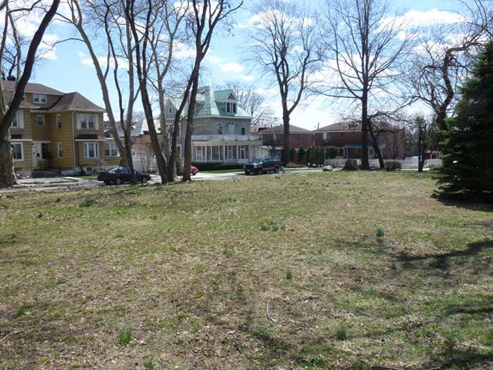 Beech1.jpg?ixlib=rails 2.1