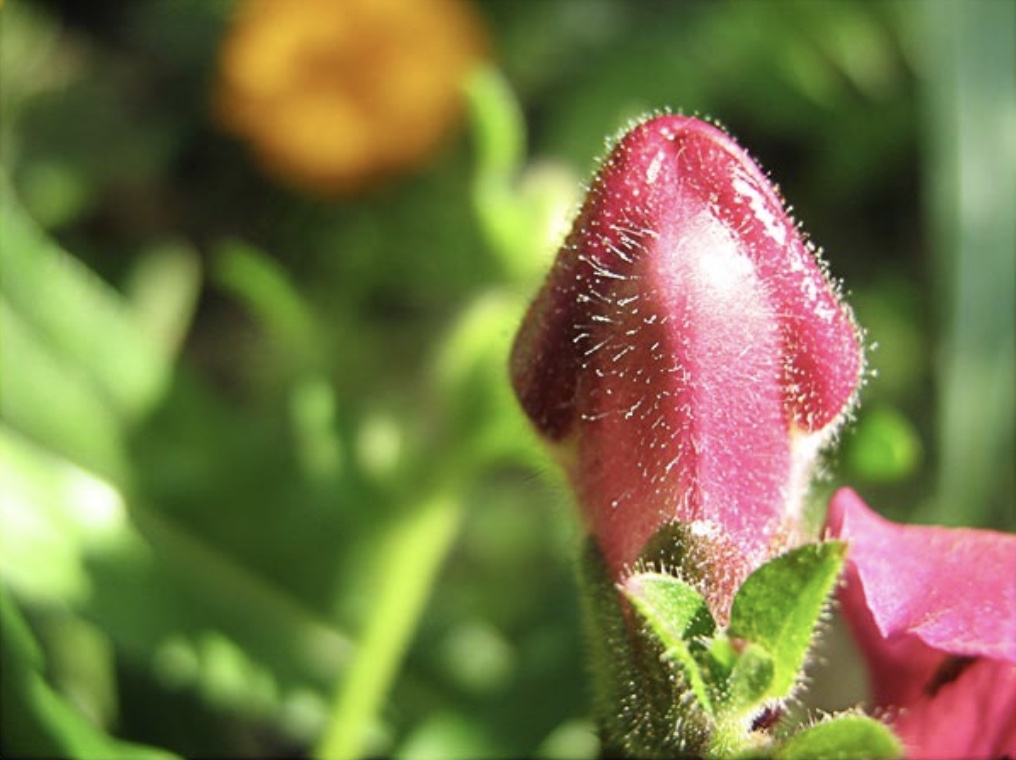 Ab1dc35e 06a3 4f1b ad90 d962b3b15bcd.jpeg?ixlib=rails 2.1