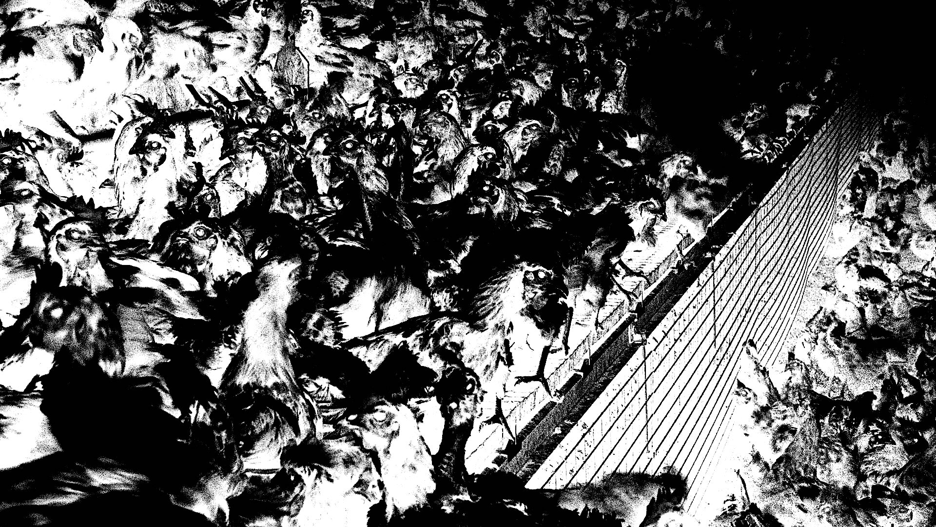 Covid and slaughterhouses blog.jpg?ixlib=rails 2.1