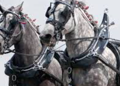 Screen shot 2020 09 22 at 10.29.01 pm.png?ixlib=rails 2.1