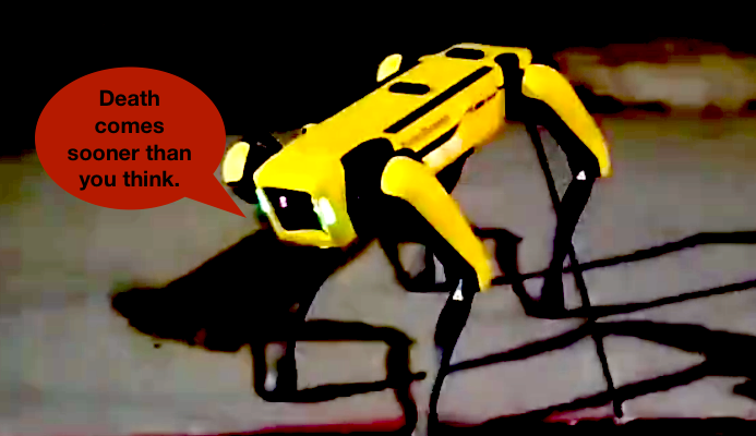 Dog1 1.png?ixlib=rails 2.1