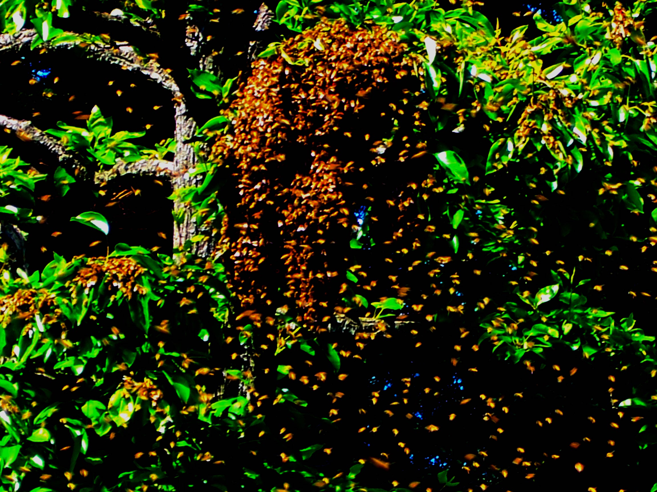 05182009 041.jpg?ixlib=rails 2.1