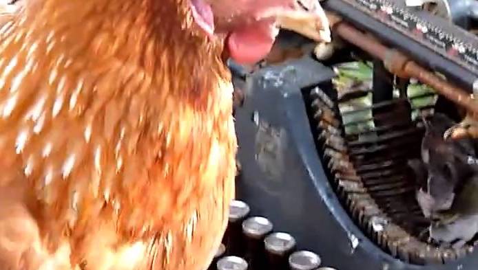 Maxresdefault 1.jpg?ixlib=rails 2.1