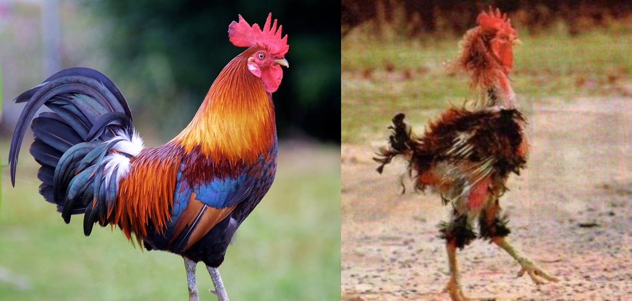 72398054.jpg?ixlib=rails 2.1