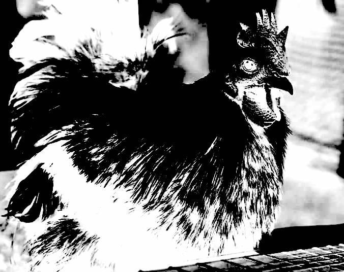 Maxresdefault 21.jpg?ixlib=rails 2.1