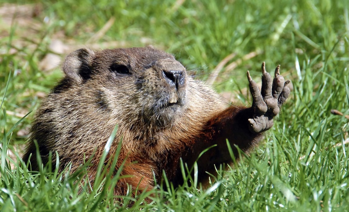 E6571dd6 f3df 4003 a027 9b9b12eca21e.jpeg?ixlib=rails 2.1