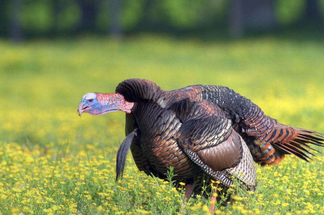 F71c8a78 16b8 4357 89d9 a61857094978.jpeg?ixlib=rails 2.1