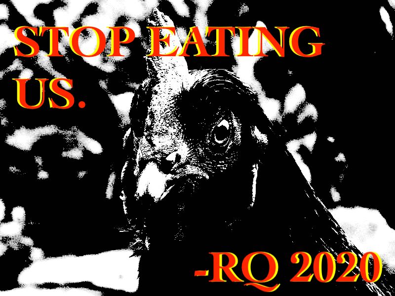 7607507990 f13e607548 c.jpg?ixlib=rails 2.1