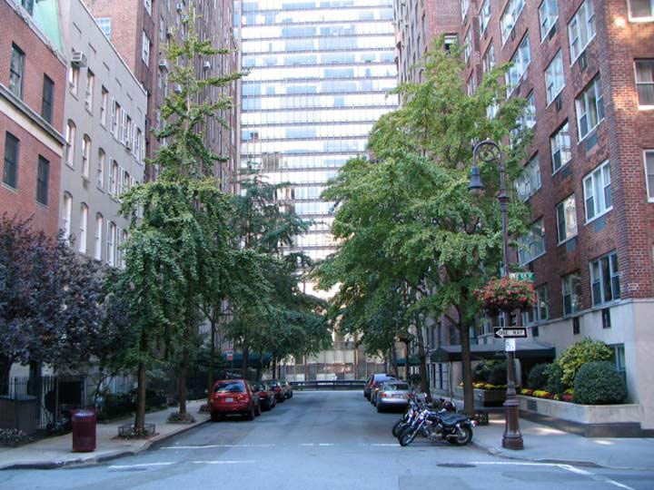 Beekman.jpg?ixlib=rails 2.1