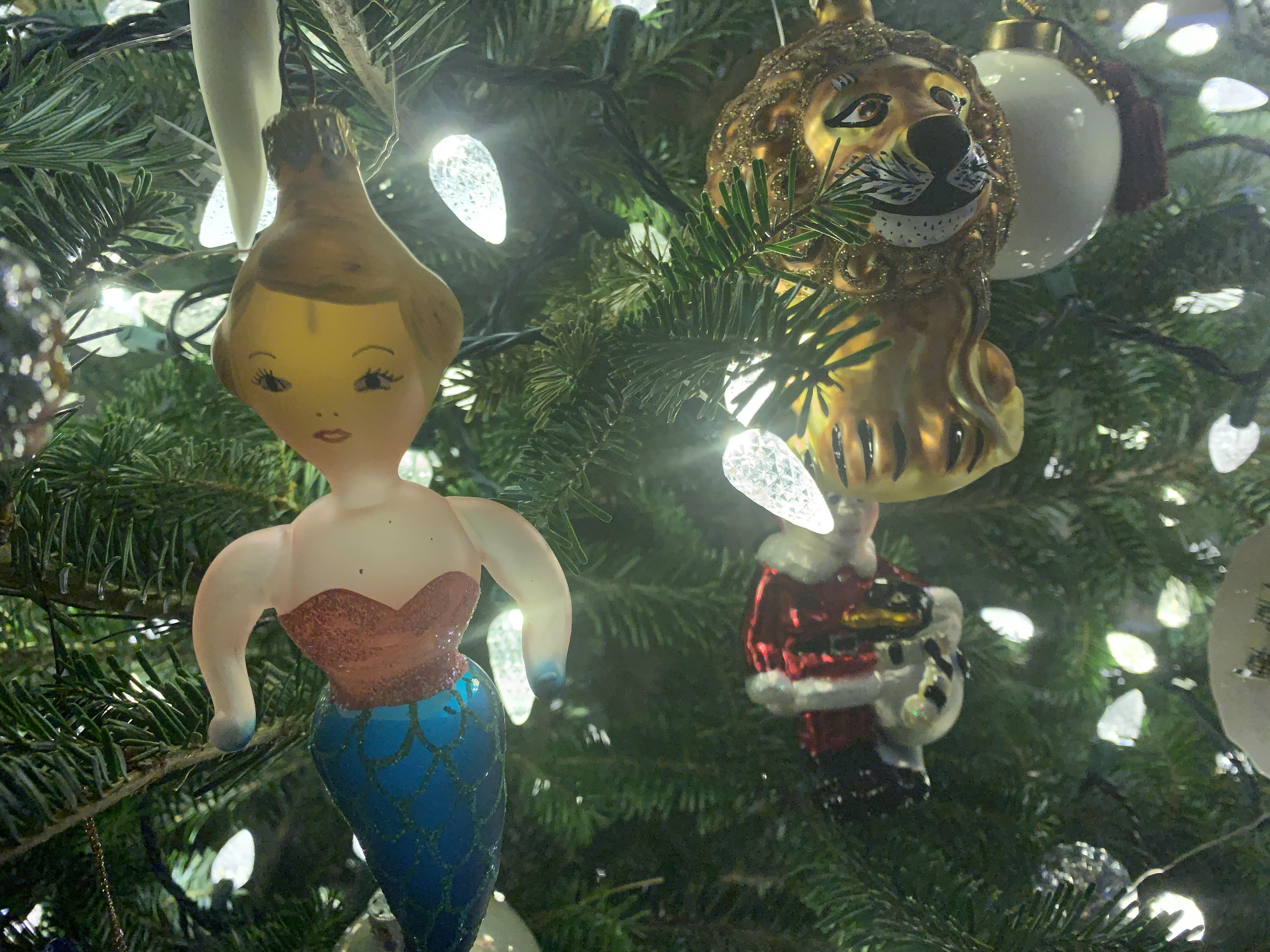 Unnamed 6.jpg?ixlib=rails 2.1