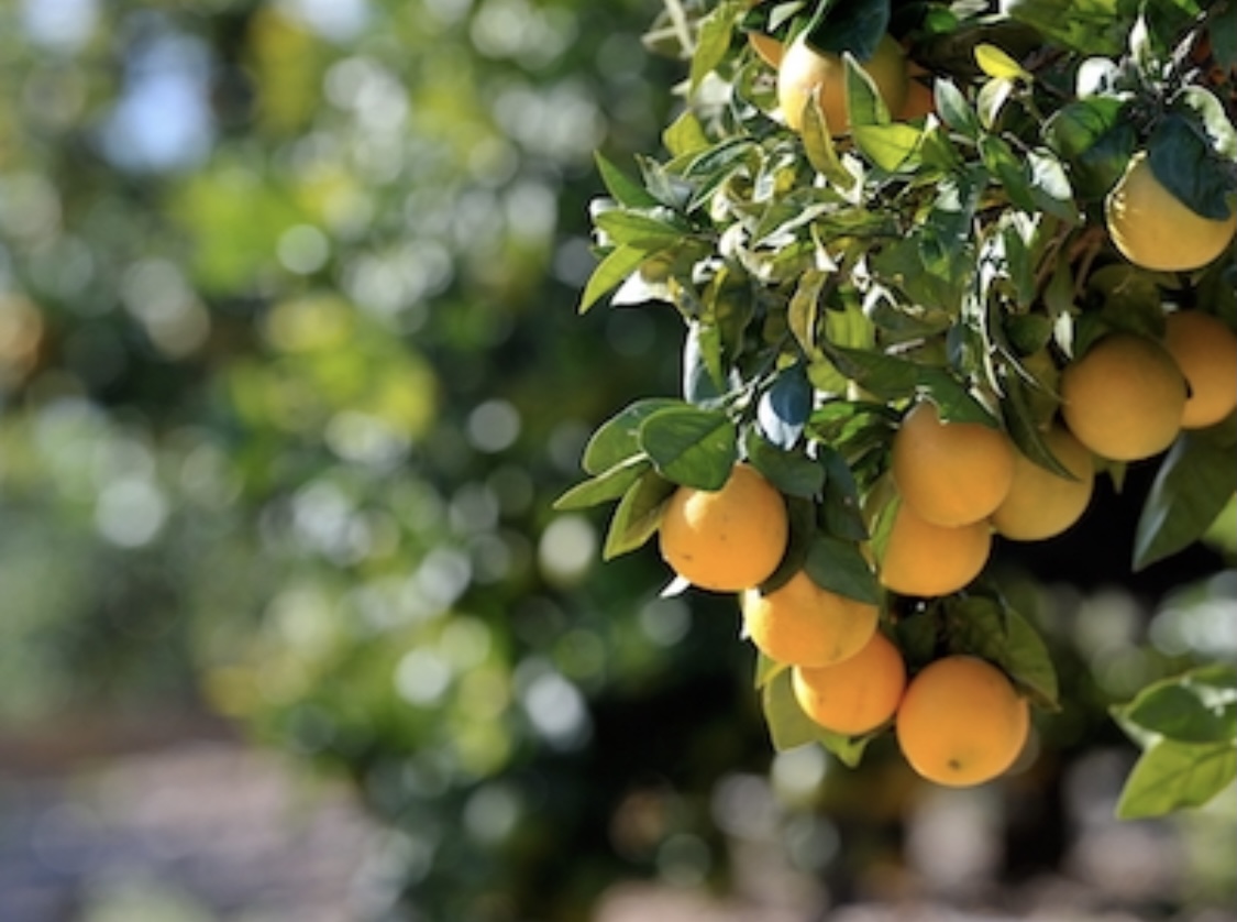 B6041c6c 1a4e 49da 8a18 7309b4732766.jpeg?ixlib=rails 2.1