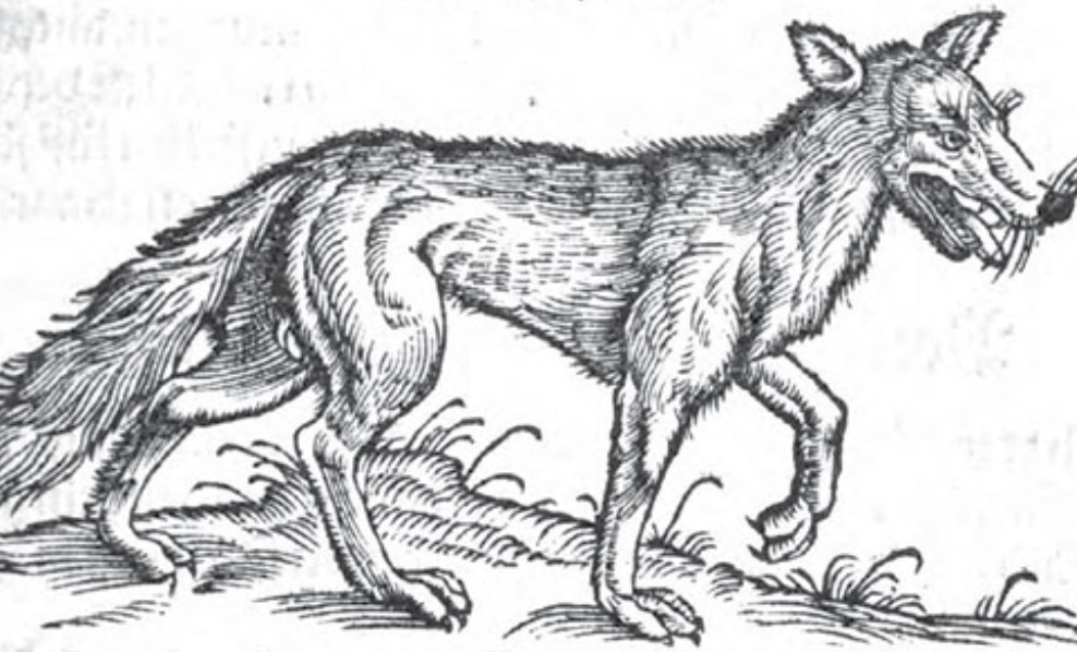 7626cfba b476 45e7 b0ad 7b4668177f4b.jpeg?ixlib=rails 2.1