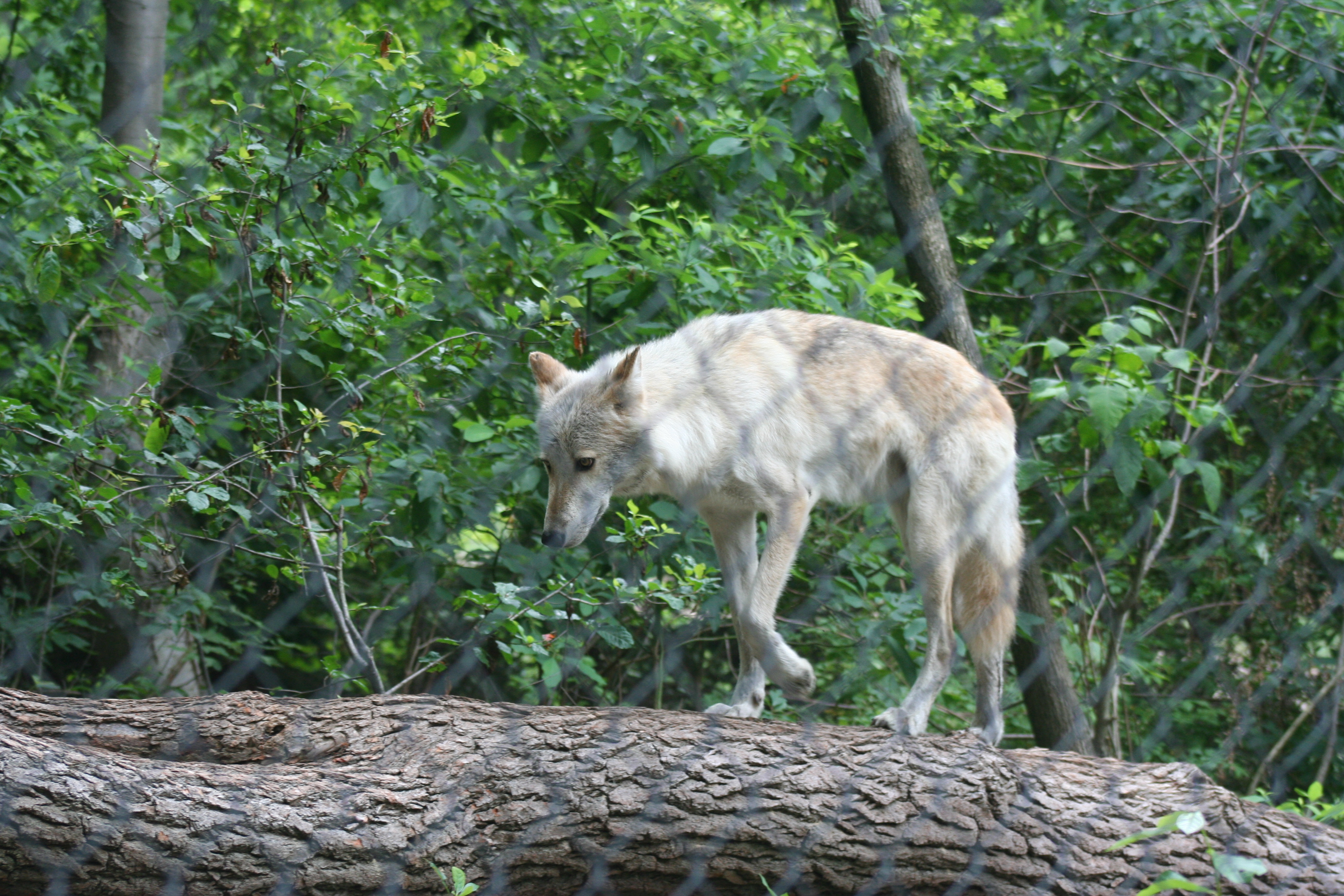 Img 1729.jpg?ixlib=rails 2.1