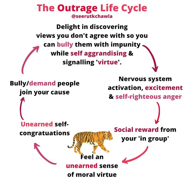 Ending the Outrage Cycle | www.splicetoday.com