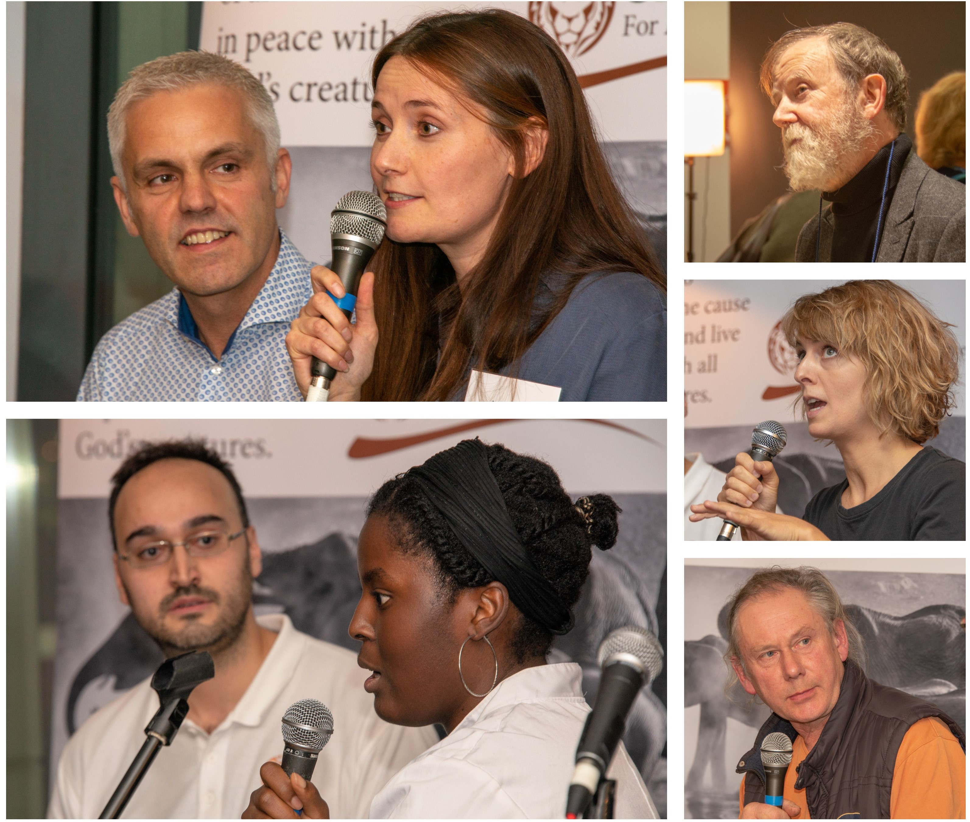 Befunky collage 6.jpg?ixlib=rails 2.1