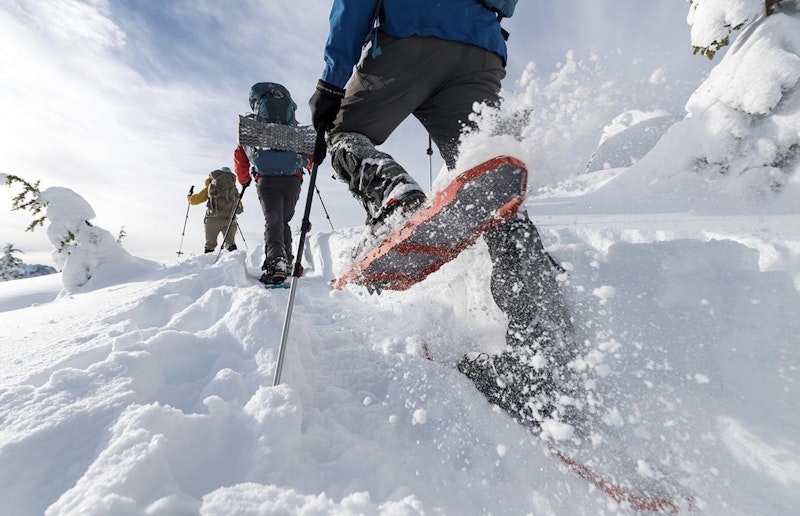 7283aac0 ff9a 406e a1c7 87525dbd46b9.jpeg?ixlib=rails 2.1