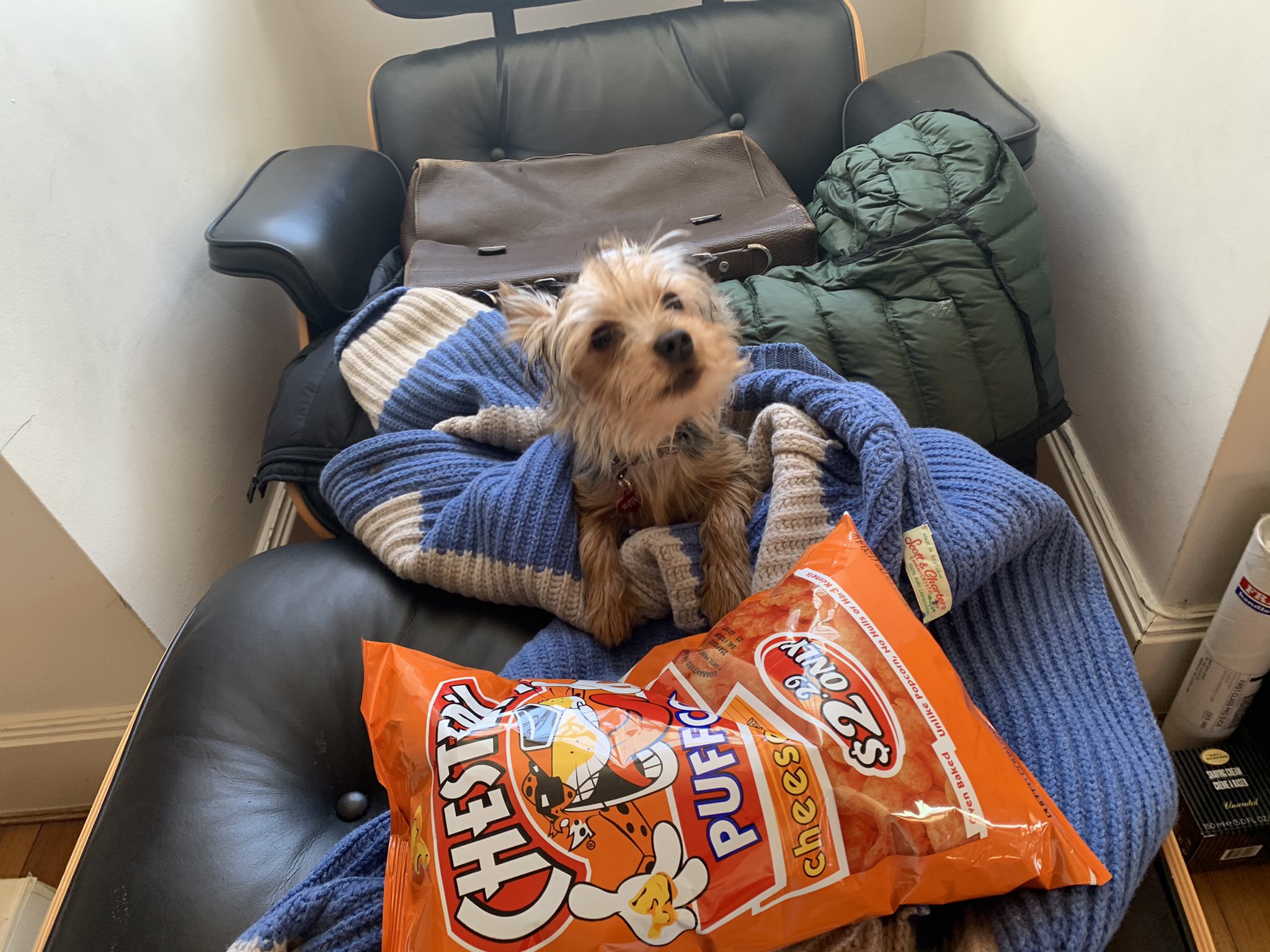 7uebafmz.jpg large.jpeg?ixlib=rails 2.1