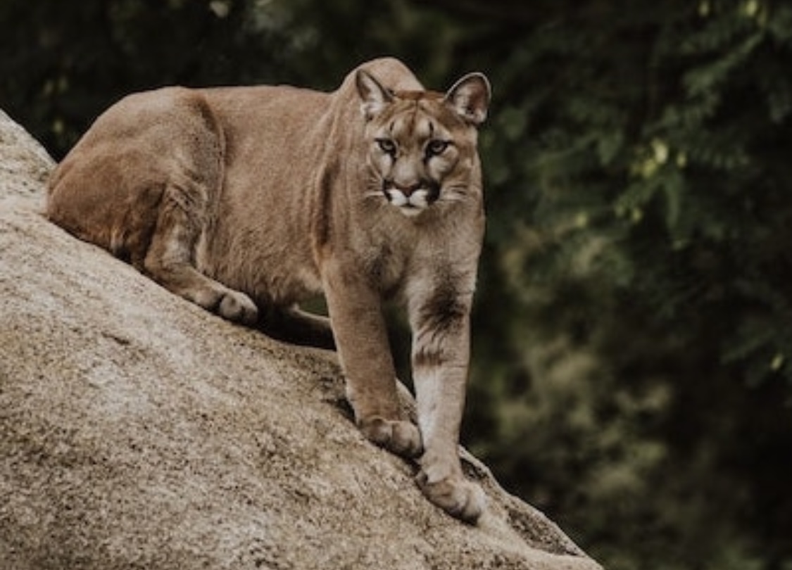 E6a23771 8637 4192 a0f3 b5ea0ee790c6.jpeg?ixlib=rails 2.1