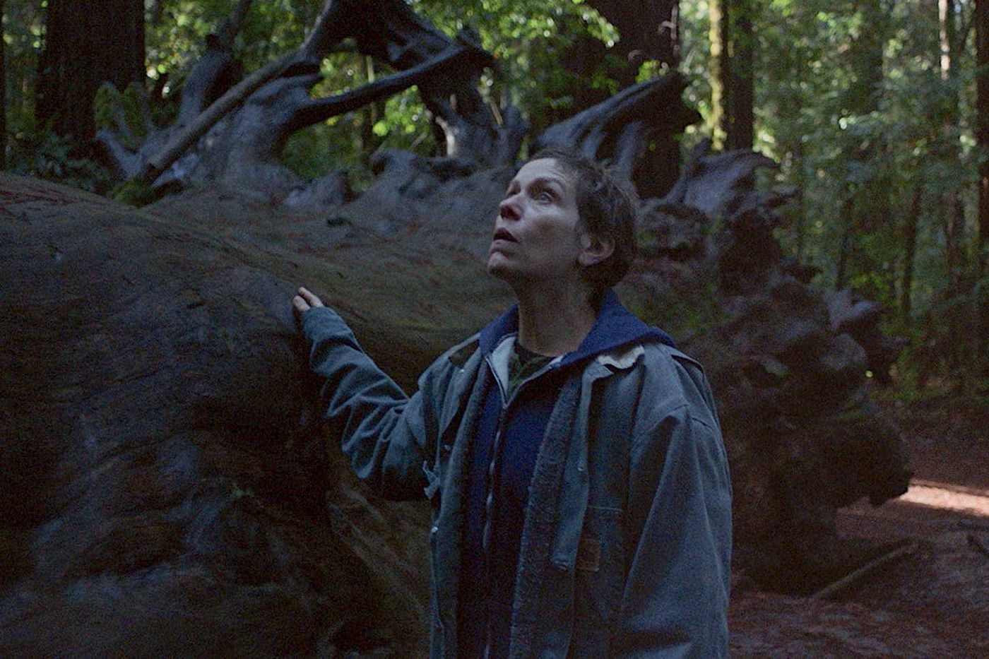 Nomadland2.0.jpg?ixlib=rails 2.1