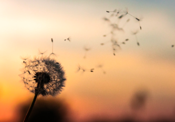 Screen shot 2021 03 17 at 12.46.48 am.png?ixlib=rails 2.1