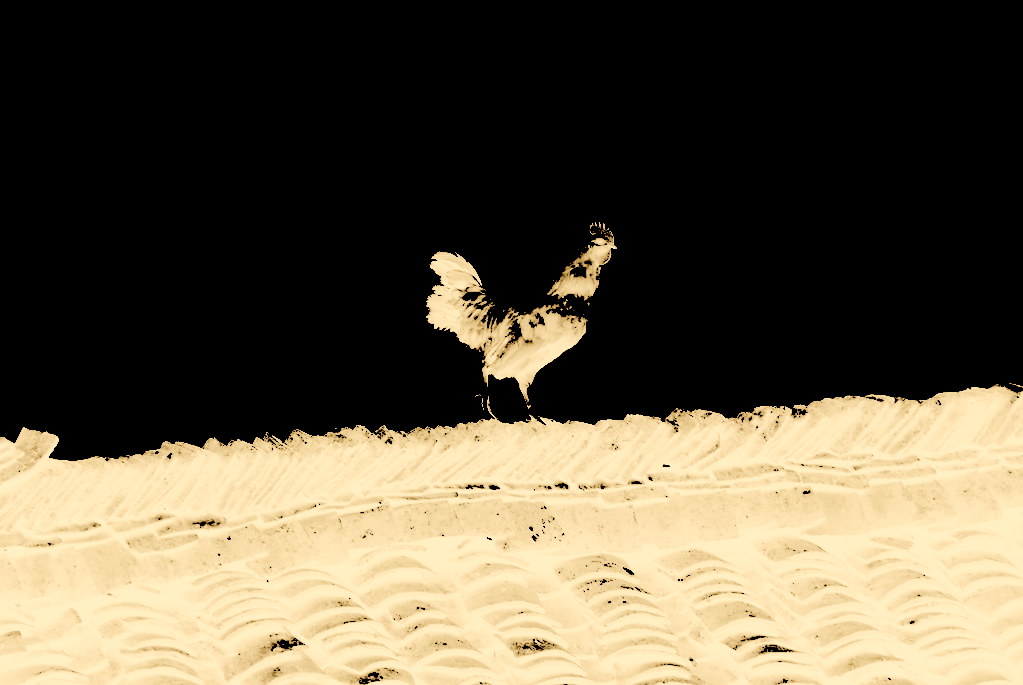 3548830874 f38e688674 b.jpg?ixlib=rails 2.1