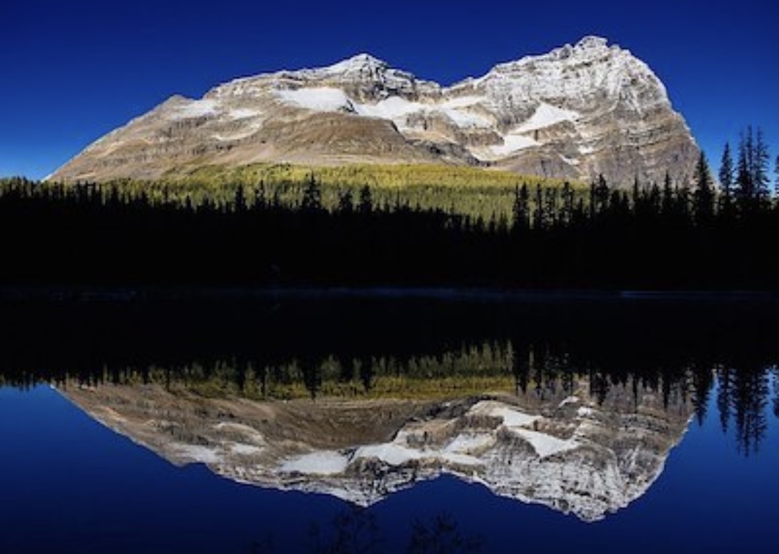 B0d6d441 9919 40e6 ab92 c10230ca024b.jpeg?ixlib=rails 2.1