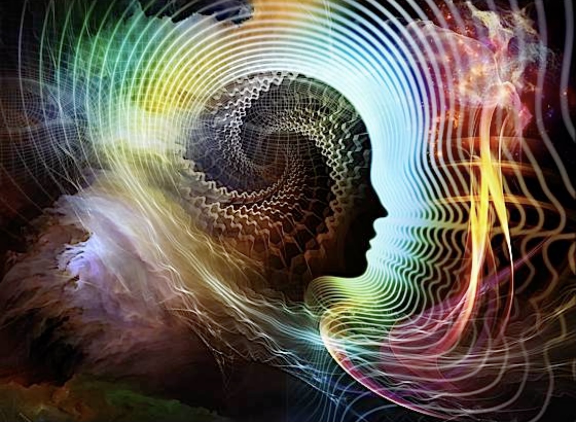 E68ee8ee ae7c 4258 879c ee09e8db2c0c.jpeg?ixlib=rails 2.1