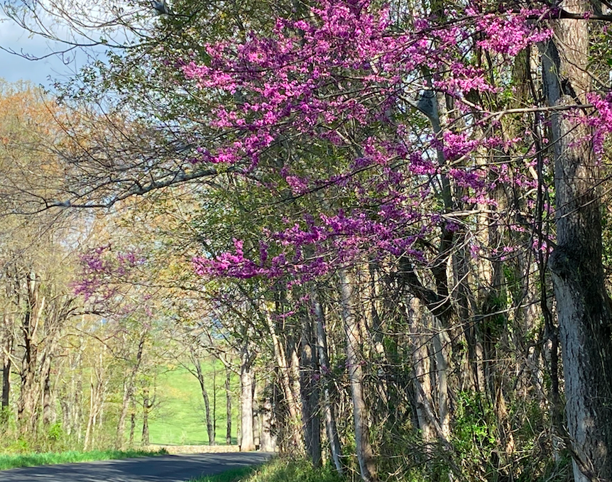 Screen shot 2021 04 18 at 10.11.10 pm.png?ixlib=rails 2.1